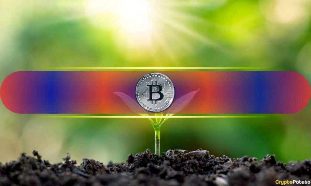 5 Key On-Chain Signals to Watch With Bitcoin at Fair Value 5 Key On-Chain Signals to Watch With Bitcoin at Fair Value