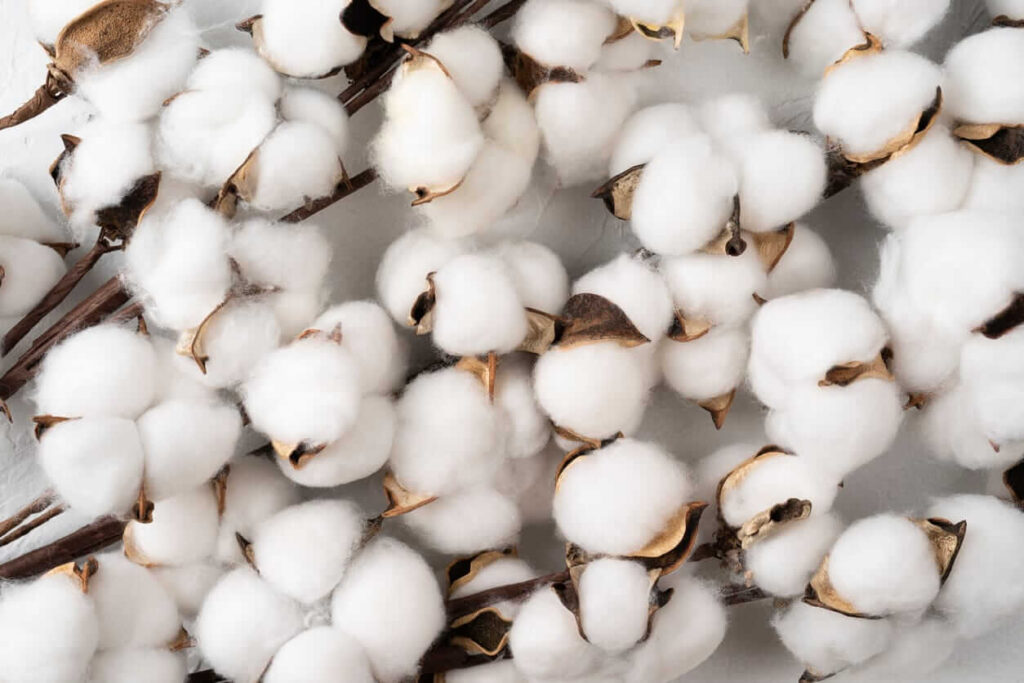 Cotton Closes Mixed on Wednesday