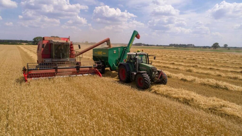Wheat Closes Thursday with Modest Strength