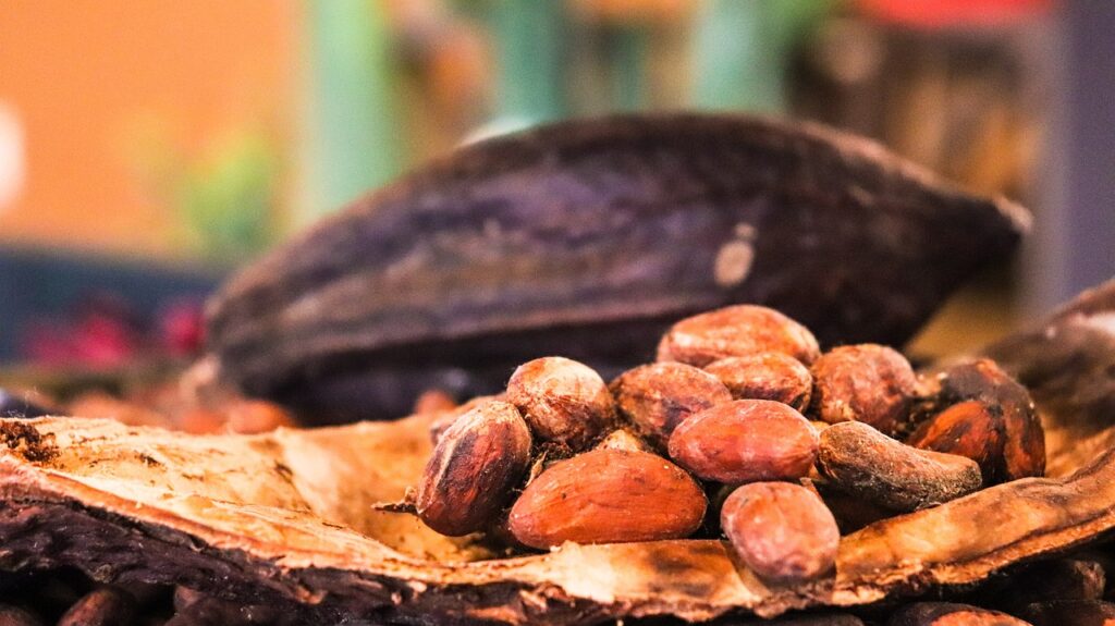 Cocoa Prices Pressured by Larger Supplies from Ghana