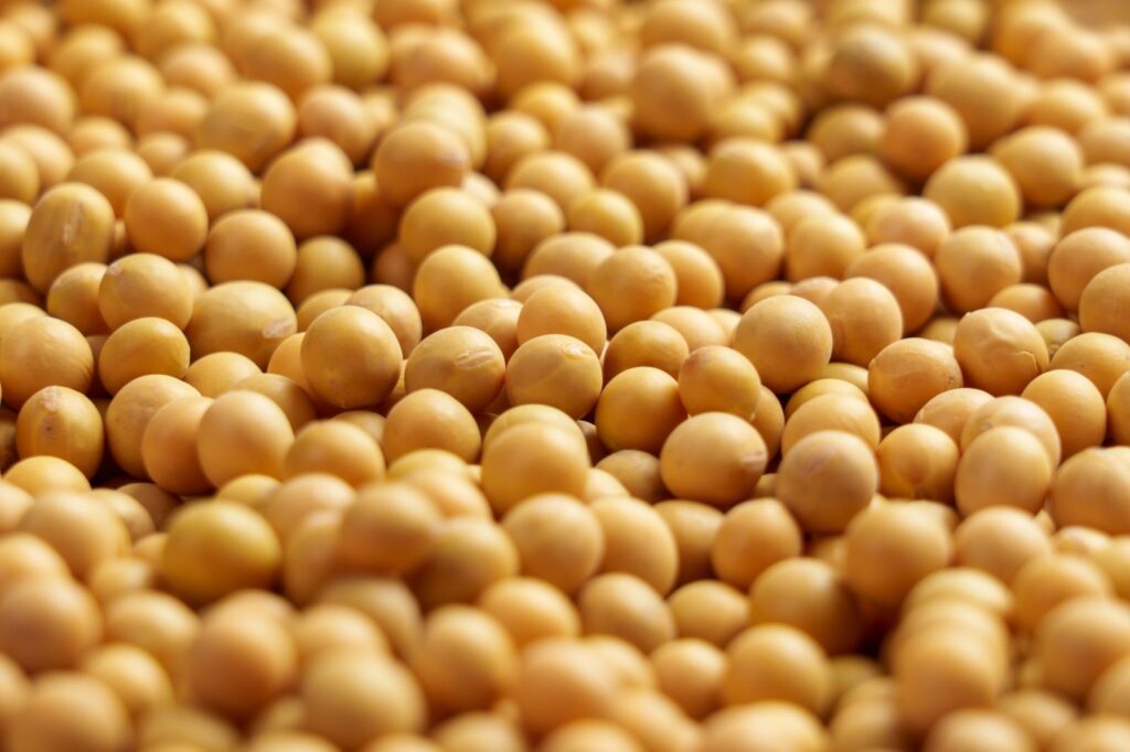 Soybeans Close with Gains on Monday, as Ratings Slip