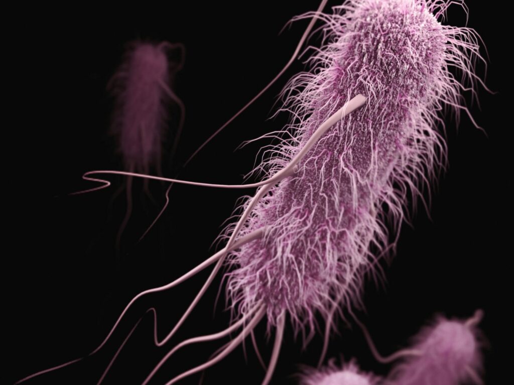 Stanford Evo 2 AI model generates phages against E. coli Stanford Evo 2 AI model generates phages against E. coli